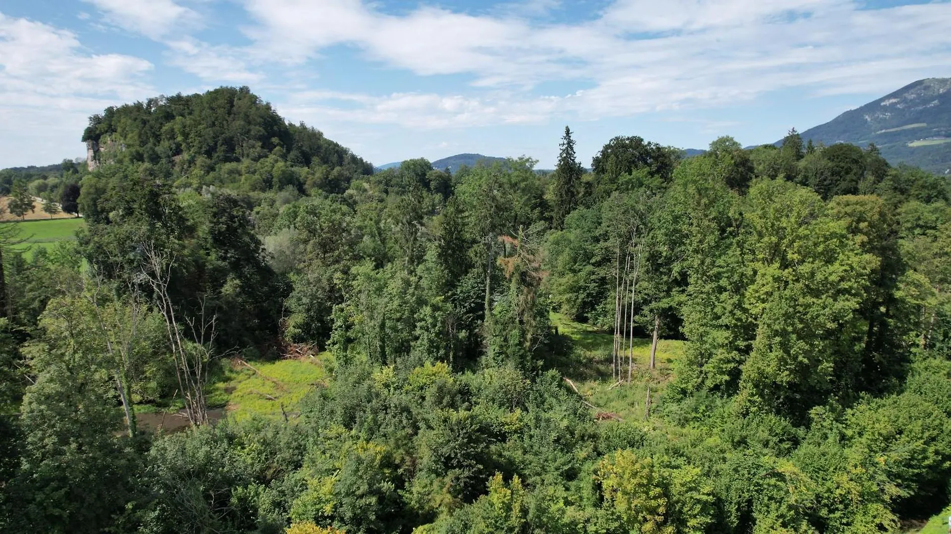 Appartamento Walters Appartment - Wohfuehlurlaub Fuer Mensch Und Hund Anif